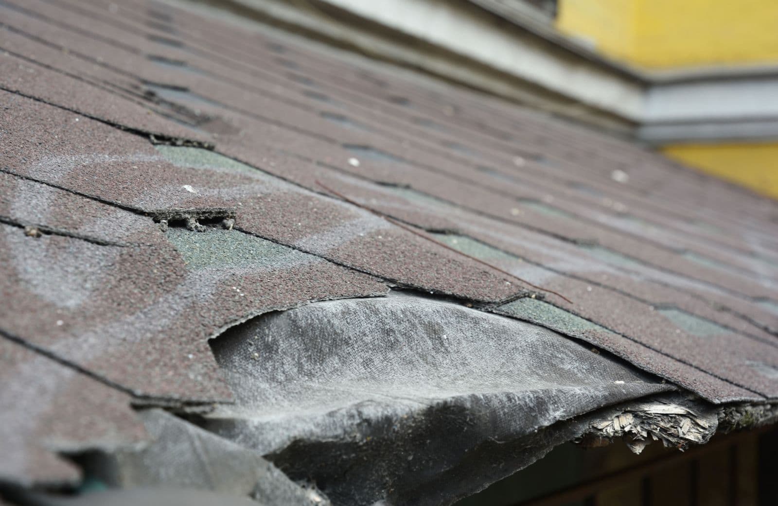 imgi_12_damaged-roof-min.jpg