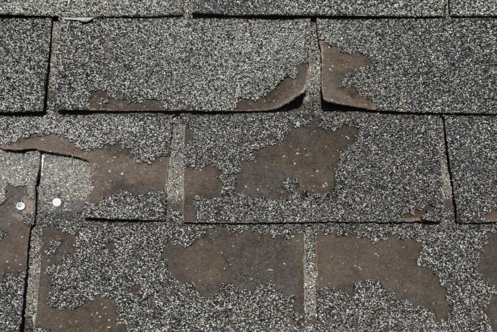imgi_13_shingle-damage.jpg