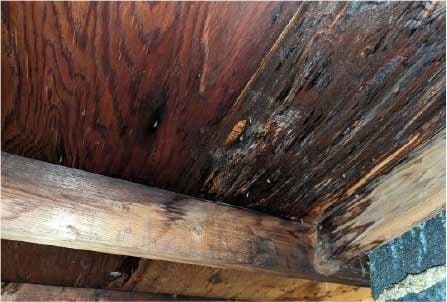 storm-damage-image2